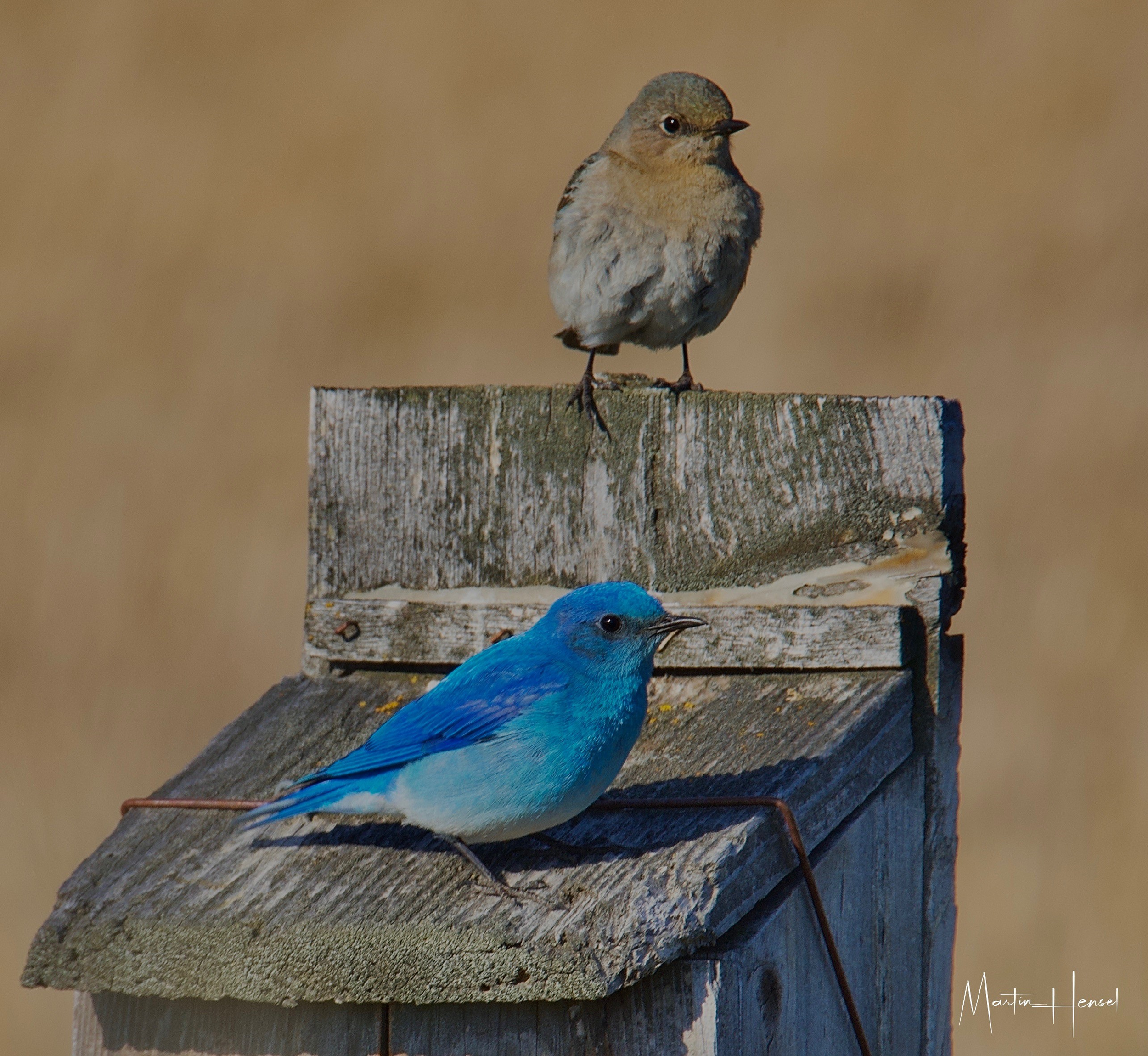 Moments on the Trail: A call for photo submissions — Mountain